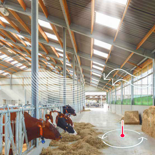 Eternit CB40 8 viļņu loksnes var savienot ar Stabilit 8 polikarbonāta loksnēm, lai iegūtu dabīgu apgaismojumu telpās.